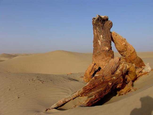 新疆喀什达瓦昆沙漠旅游风景区,图三