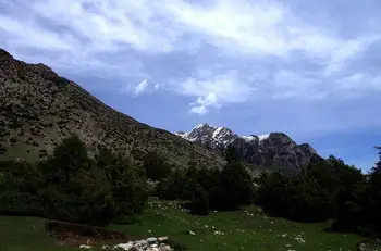 新疆喀什奥依塔克森林公园风景区介绍,图四