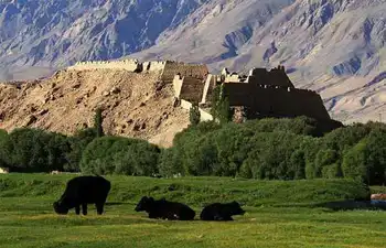 新疆喀什石头城,图二