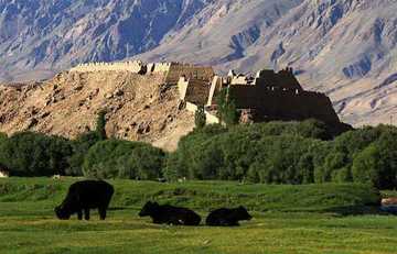 新疆喀什石头城,图二