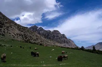 新疆喀什奥依塔克森林公园风景区介绍,图二