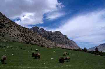 新疆喀什奥依塔克森林公园风景区介绍,图二