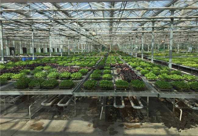 新疆石河子市高新农业技术示范园区,图三