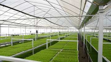 新疆石河子市高新农业技术示范园区,图二