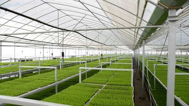 新疆石河子市高新农业技术示范园区,图二