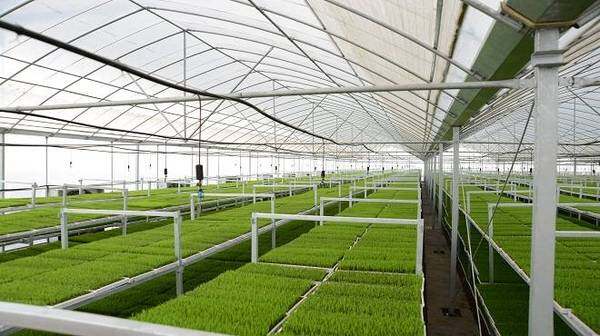 新疆石河子市高新农业技术示范园区,图二
