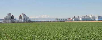 新疆石河子市高新农业技术示范园区,图一