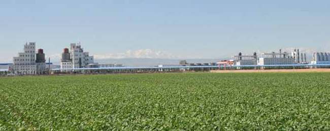 新疆石河子市高新农业技术示范园区,图一