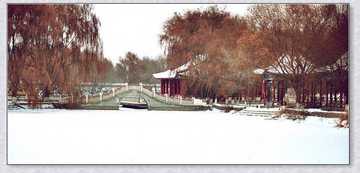 新疆石河子北湖公园,图三