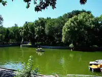 新疆石河子人民公园