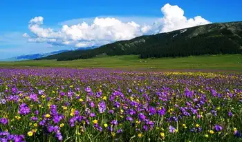 新疆塔城塔斯提风景区,图四