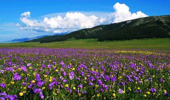 新疆塔城塔斯提风景区,图四