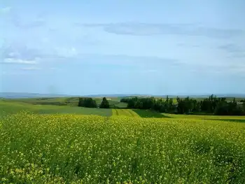 新疆塔城塔斯提风景区,图五