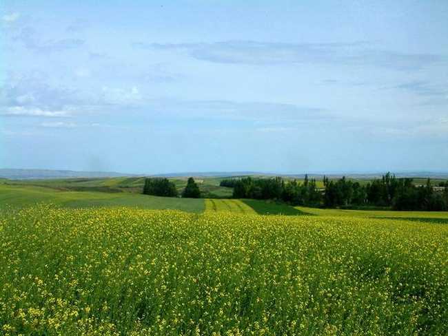 新疆塔城塔斯提风景区,图五