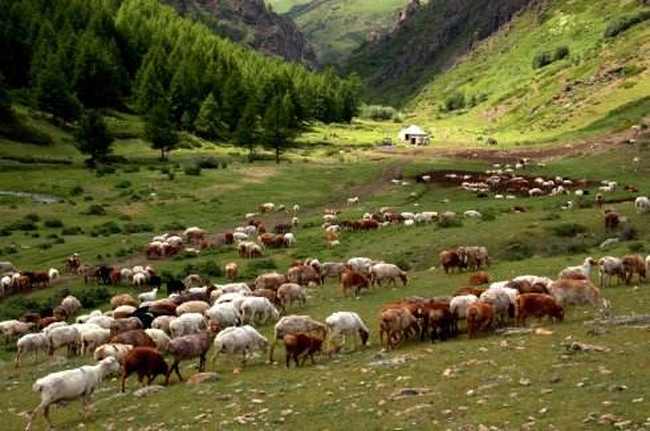 新疆塔城阿吾斯奇,图二