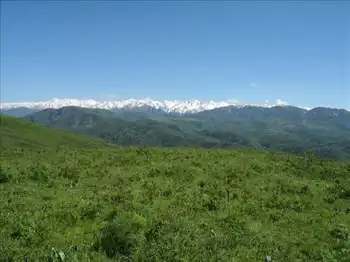 新疆塔城吐尔加辽草原,图二