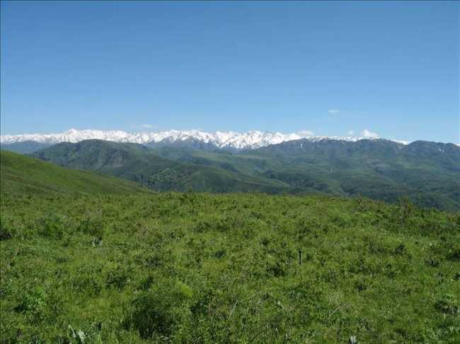 新疆塔城吐尔加辽草原,图二