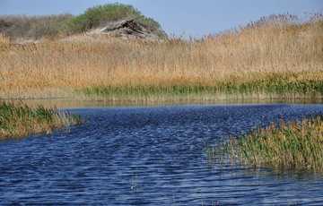 新疆塔城艾里克湖,图三