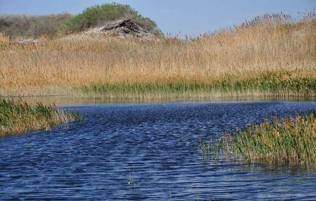 新疆塔城艾里克湖,图三