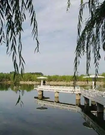 新疆塔城市垂钓公园,图一