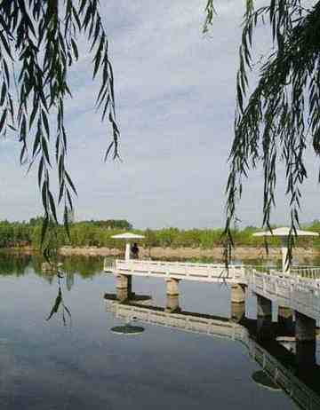 新疆塔城市垂钓公园,图一