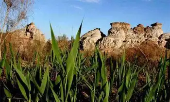 新疆塔城蒙王府热气泉旅游度假区,图二