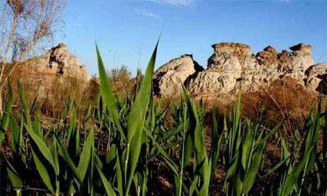 新疆塔城蒙王府热气泉旅游度假区,图二