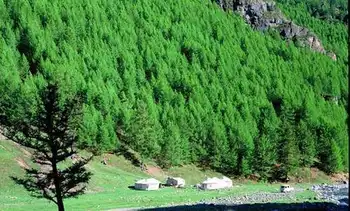 新疆塔城松树沟风景区,图二