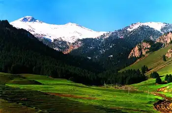 新疆塔城地区沙湾县东大塘旅游区,图一