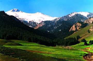 新疆塔城地区沙湾县东大塘旅游区,图一