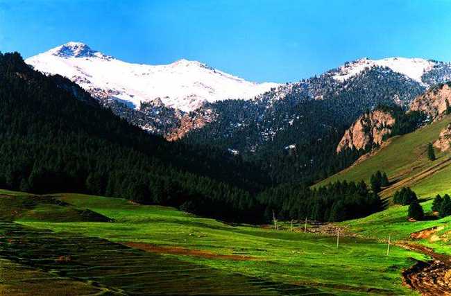新疆塔城地区沙湾县东大塘旅游区,图一
