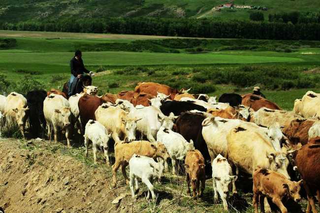 新疆塔城165團(tuán)巴依木札景區(qū),圖二