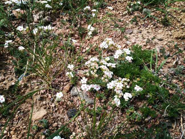 新疆塔城165團(tuán)巴依木札景區(qū),圖七