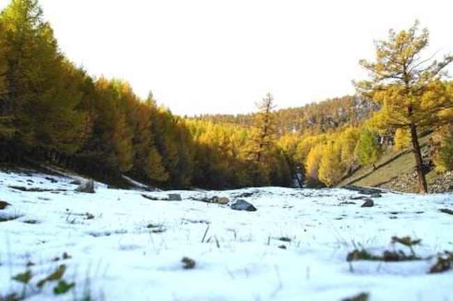 新疆塔城松树沟风景区,图三