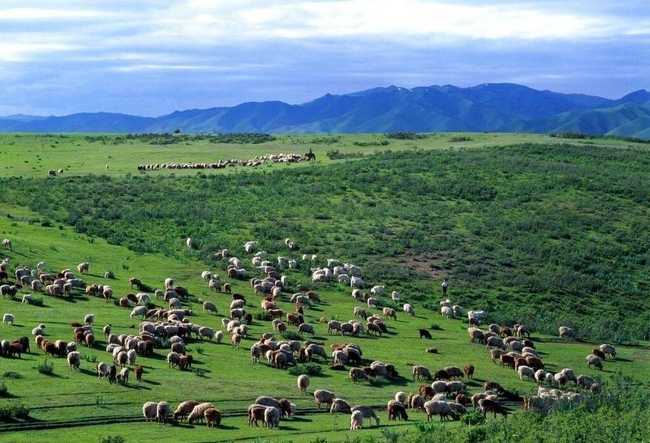 新疆塔城阿吾斯奇,图四