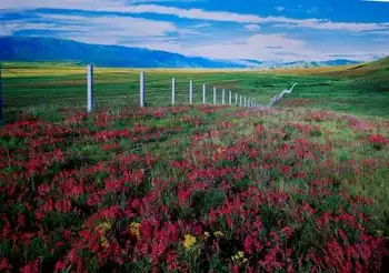 新疆塔城阿吾斯奇,图三