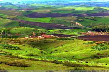 新疆塔城吐尔加辽草原,图三