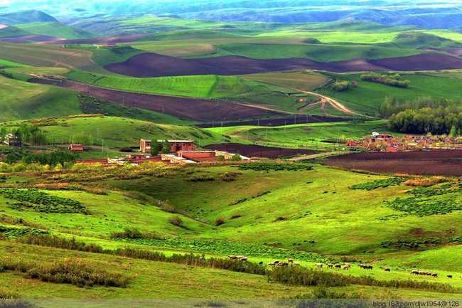新疆塔城吐尔加辽草原,图三