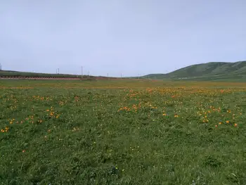 新疆塔城165团巴依木札景区,图三