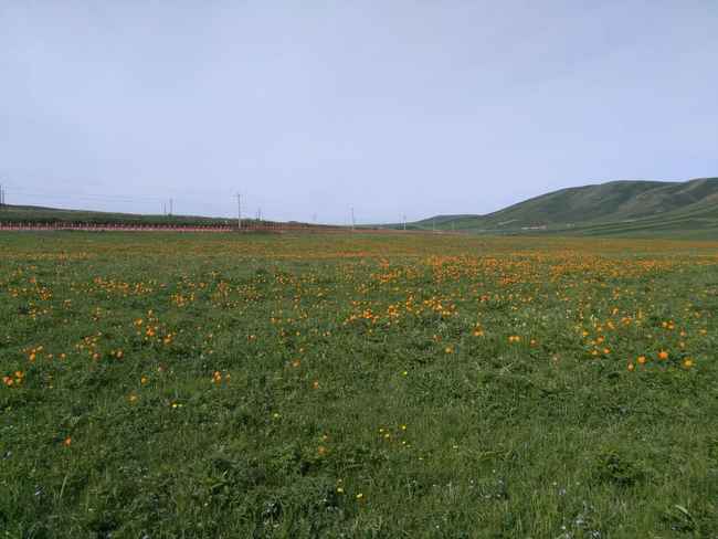 新疆塔城165團(tuán)巴依木札景區(qū),圖三