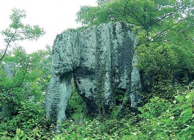 新疆塔城沙湾县三道河子林场森林公园,图一