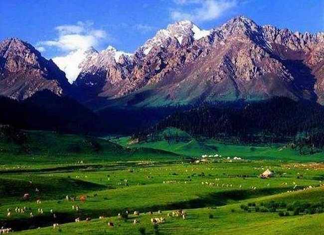 新疆塔城松树沟风景区,图四