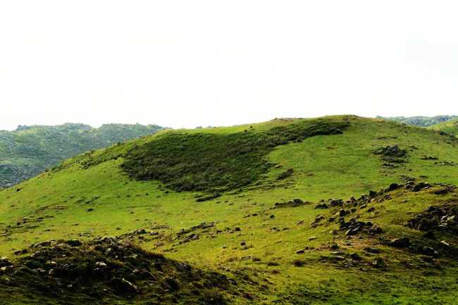 新疆塔城165團(tuán)巴依木札景區(qū),圖十二