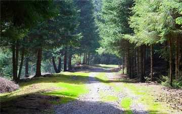 新疆塔城地区沙湾县东大塘旅游区,图四