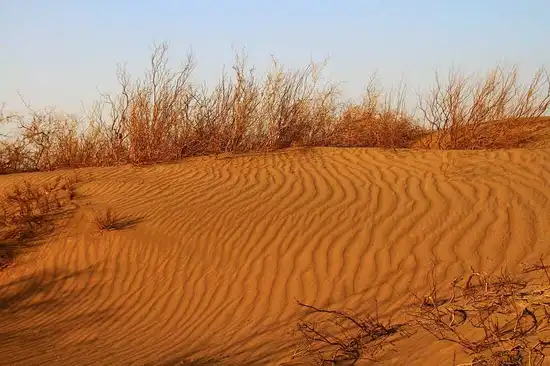 吐鲁番沙漠植物园3.jpg