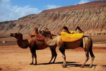 新疆吐鲁番干沟奇景,图一