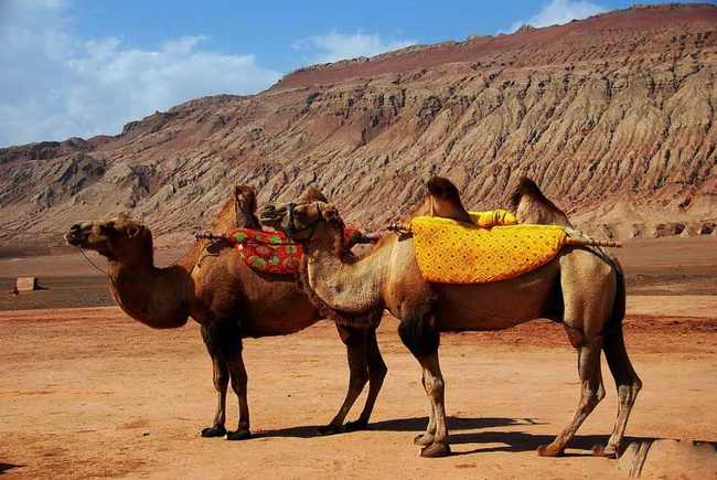 新疆吐鲁番干沟奇景,图一