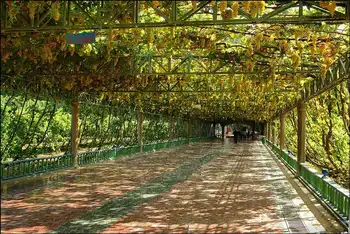 新疆吐鲁番葡萄沟,图二