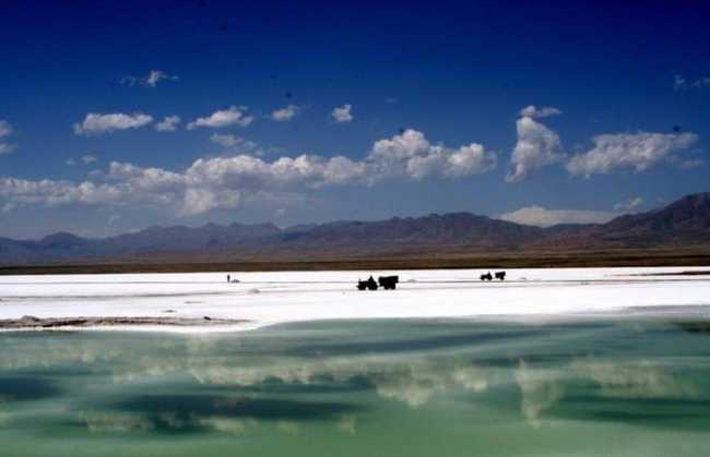 新疆乌鲁木齐市盐湖生态旅游区,图一
