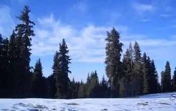 新疆乌鲁木齐白杨沟,图二